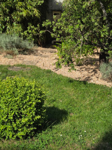 Photo de galerie - Paillage