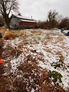 Photo de galerie - Tonte de pelouse - Débroussaillage