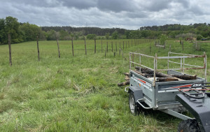 Photo de galerie - Clôture Grillage