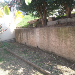 Photo de galerie - Avent le démousage du muree