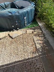 Photo de galerie - Nettoyage jardin après 