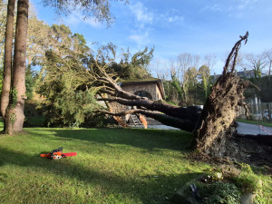 Photo de galerie - Tronçonnage suite à la tempête Goretti .