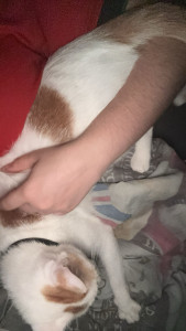 Photo de galerie - N