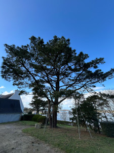 Photo de galerie - Entretien pin 