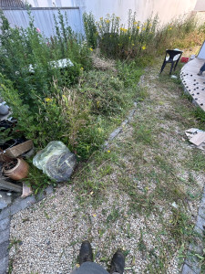 Photo de galerie - Débrousaillage du jardin et désherbage de l’allée