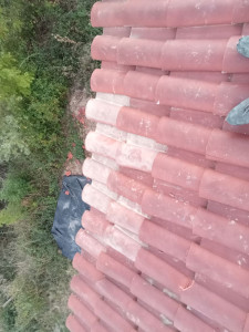 Photo de galerie - Tuile remis en place après du vent violent et nid de guepes