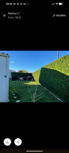 Photo de galerie - Taille de haie 