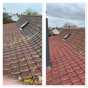 Photo de galerie - Nettoyage de la toiture +  recimentation  des faîtières et application d’un anti mousse  de la marque d’Alep, 2100