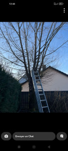 Photo de galerie - .