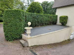Photo de galerie - Taille de haie.