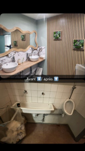 Photo de galerie - Rénovation sanitaire 