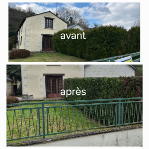 Photo de galerie - Taille de haies et d'arbustes