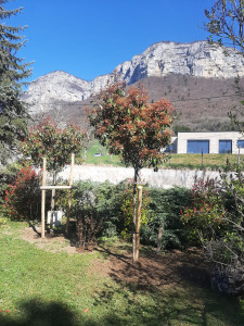 Photo de galerie - Plantation de différents arbres 