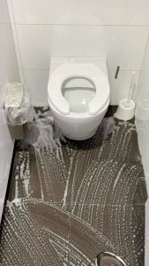 Photo de galerie - Ménage en profondeur de votre toilette 