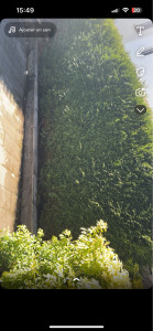 Photo de galerie - Avant 