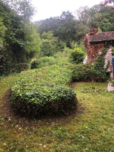 Photo de galerie - Tailles de formes de buis et de lierres 