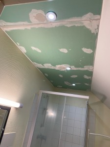 Photo de galerie - Faux-plafond + spots étanches 