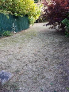 Photo réalisation - Tonte de pelouse - Débroussaillage - Enzo D. - Limoges (Landouge) : Voici une photo de réalisation proposée pour un Voisin