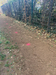 Photo de galerie - Paysagiste - Aménagement du jardin