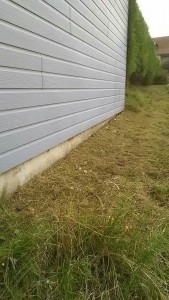 Photo de galerie - Tonte de pelouse - Débroussaillage