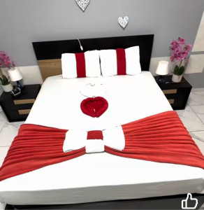 Photo de galerie - Menage a la maison 