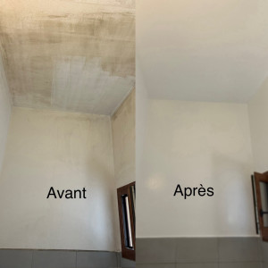 Photo de galerie - Peinture - Tapisserie