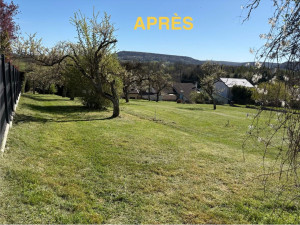 Photo de galerie - Tonte de pelouse - Débroussaillage