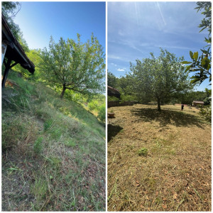 Photo de galerie - Tonte de pelouse - Débroussaillage