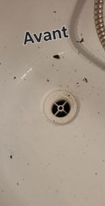 Photo de galerie - Ménage