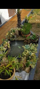Photo de galerie - Création terrasse Spa et bassin intégré Melun