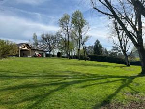 Photo de galerie - Entretien pelouse 