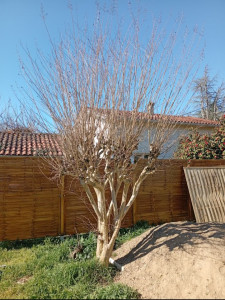 Photo de galerie - Petite taille a la demande du client 