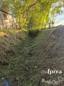 Photo de galerie - Tonte de pelouse - Débroussaillage
