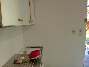 Photo de galerie - Peinture - Tapisserie