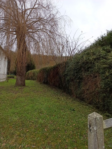 Photo de galerie - Tonte, taille et entretiens