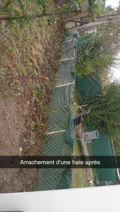 Photo de galerie - Arrachement d'une haie