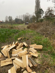 Photo de galerie - Jardinage 