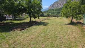 Photo de galerie - Nettoyage et débrousaillage jardin