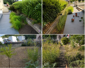 Photo de galerie - Remise en état  d’un jardin envahie à Malzeville 54  client satisfait ?
