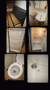 Photo de galerie - Salle de bain, lavabo, siphon, douche et WC avec détartrage de la cuvette et de la robinetterie.