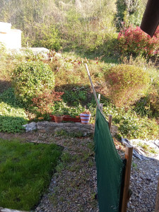 Photo de galerie - Paysagiste - Aménagement du jardin