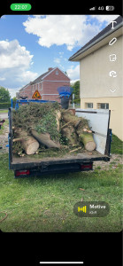 Photo de galerie - Abattage d’arbres