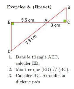 Photo de galerie - Cours particuliers toutes matières sauf physique chimie et svt.
