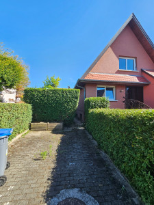 Photo de galerie - Taille de haie après