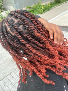 Photo de galerie - Twist