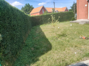 Photo de galerie - Après 