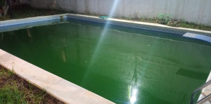 Photo de galerie - Entretien piscine