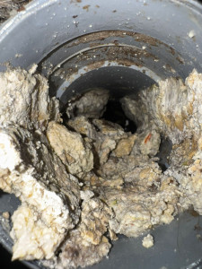 Photo de galerie - Furet  / Déboucheur de canalisation
