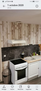 Photo de galerie - Tapisserie imitation bois 