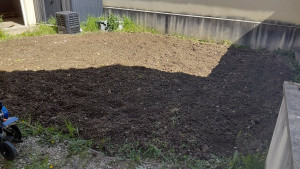 Photo de galerie - Paysagiste - Aménagement du jardin